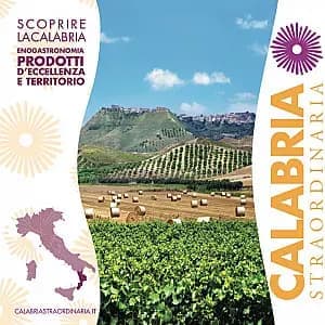 Calabria Straordinaria flyer - L'Enogastronomia e il territorio